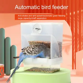 Автоматична ясла за птици с голям капацитет, без елементарно, със защита от пръски и лесна за използване на Ясла за малки птици